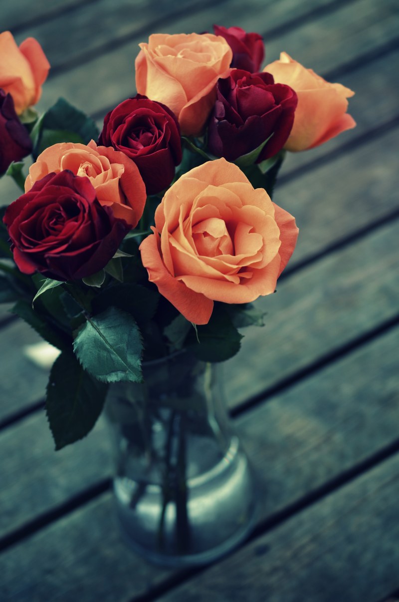 红色和橙色玫瑰在透明玻璃花瓶Red and Orange Roses in Clear Glass Vase|叶子,布鲁姆,开花,植物区系,玫瑰,花,花瓣,花瓶-海量高质量免版权图片素材-设计师素材-摄影图片-mitapix-美塔图像