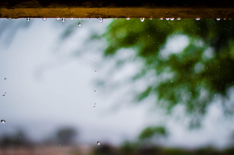 用树木拍摄雨天|天气,女人,宏观,户外,散景,木,模糊,水,水滴,灾难,雨,雨滴-海量高质量免版权图片素材-设计师素材-摄影图片-mitapix-美塔图像