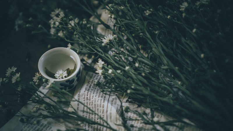 陶瓷茶杯近白花植物|叶子,报纸,杯,模糊,水,特写,环境,生长,纸张,绿色,花,陶瓷杯,颜色-海量高质量免版权图片素材-设计师素材-摄影图片-mitapix-美塔图像