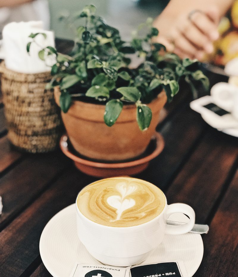 绿色植物附近咖啡填充白色陶瓷杯Green Leafed Plant Near Coffee Filled White Ceramic Cup|breakfast,brewed coffee,Brown,Café,caffeine,closeup,coffee,coffee cup,coffee drink,cup,cup of coffee,delicious,drink,foam,Focus,Hand,Hot,latte,latte art,person,plant,porcelain,pot,saucer,table,table napkin,wood,wooden,人,咖啡,咖啡因,咖啡杯,咖啡饮料,咖啡馆,手,拿铁咖啡,拿铁艺术,早餐,木,木材,杯,杯咖啡,棕色,植物,泡沫,热,焦点,煮咖啡,特写,瓷器,碟,美味,表,锅,餐巾,饮料-海量高质量免版权图片素材-设计师素材-摄影图片-mitapix-美塔图像