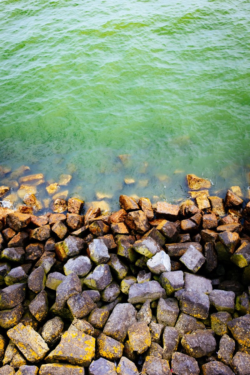 绿色海水上的灰色石头|岩石,桩,水,河岸,波浪,波纹,石头,防波堤-海量高质量免版权图片素材-设计师素材-摄影图片-mitapix-美塔图像