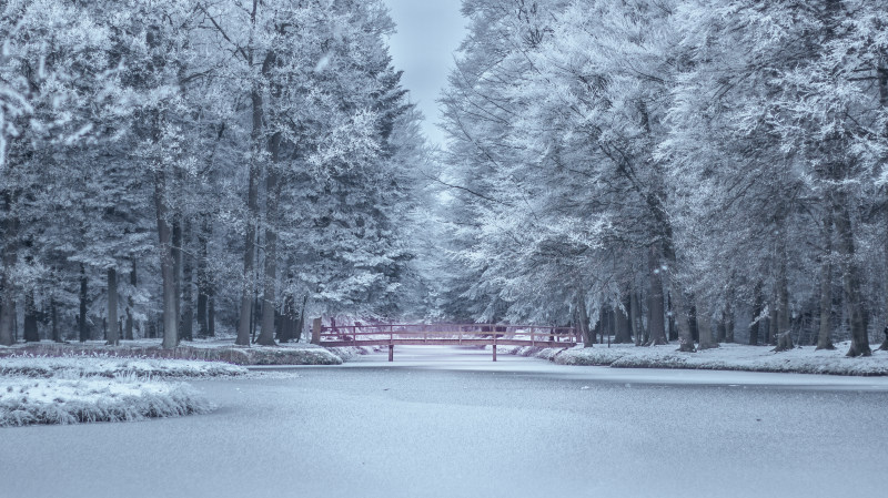 树木在冬天冻结Frozen Trees during Winter|Bridge,calm,cold,fog,freezing,frost,frosty,frozen,guidance,ice,icy,Lake,landscape,nature,outdoors,road,scenic,Season,serene,snow,snow-white,snowy,Trees,weather,winter,woods,冬天,冰,冷,冷静,冻结,天气,季节,安详,户外,指导,树木,桥,森林,湖,白雪,自然,路,雪,雪人,雾,霜,风景,风景优美-海量高质量免版权图片素材-设计师素材-摄影图片-mitapix-美塔图像