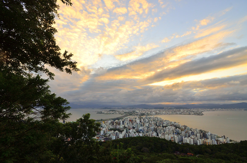 摩天大楼俯视图|城市,城市景观,大海,天空,建筑物,日落,水,海洋,黎明-海量高质量免版权图片素材-设计师素材-摄影图片-mitapix-美塔图像