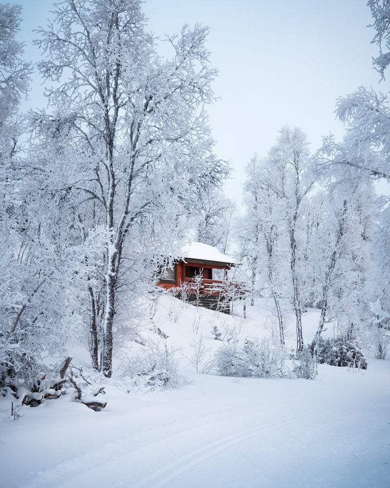 红色的木屋白雪覆盖着树木簇拥着Red Wooden House Surrounded With Trees Covered With Snow|bungalow,cabin,chalet,cold,Daylight,environment,freezing,frost,frosty,frozen,House,hut,ice,icy,landscape,nature,outdoors,resort,scenic,Season,snow,snow capped,Trees,weather,White,winter,wood,woods,严寒,冬天,冰,冰冷,冷,冻结,夏时制,天气,季节,小屋,小木屋,平房,度假村,弗罗斯特,性质,户外,房子,景区,景观,木材,树木,树林,环境,白,雪,雪上限-海量高质量免版权图片素材-设计师素材-摄影图片-mitapix-美塔图像