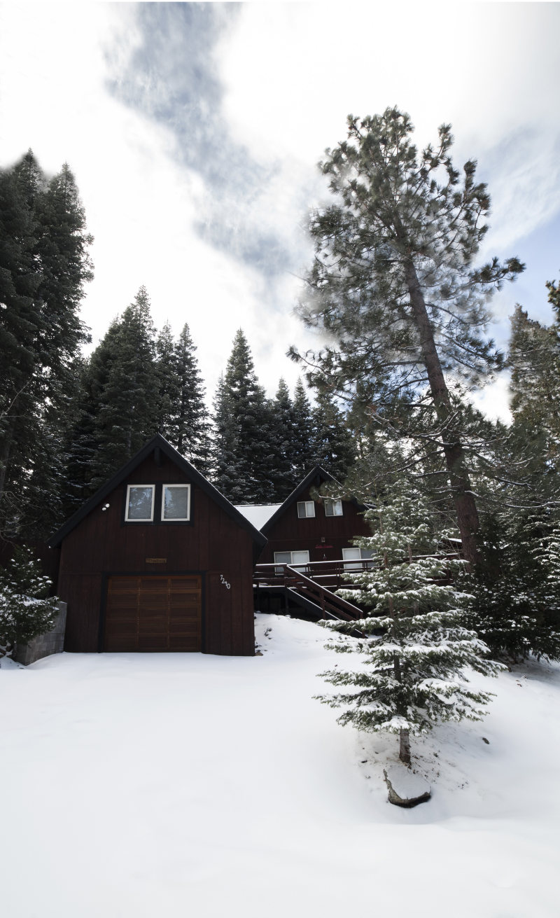 布朗木屋旁边绿叶树Brown Wooden House Beside Green Leaf Trees|bungalow,Clouds,cold,daytime,forest,freezing,frost,frosty,frozen,House,ice,icy,landscape,nature,outdoors,pine trees,scenic,Season,snow,snow capped,snowy,Trees,weather,winter,winter landscape,wooden,woods,严寒,云,冬季,冬季景观,冰,冰冷,冷,冻结,天气,平房,弗罗斯特,性质,户外,房子,景区,景观,木制,松树,树木,树林,森林,白天,赛季,雪,雪皑皑-海量高质量免版权图片素材-设计师素材-摄影图片-mitapix-美塔图像