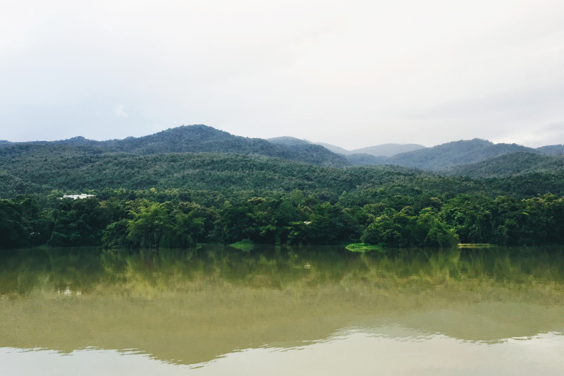 静水云杉|云,倒影,夏天,天空,宁静,山丘,山脉,岛屿,平静的水,户外,旅行,日光,木材,树木,树林,森林,水,河流,湖泊,热带,自然,针叶树,雨林,雾,风景,黎明-海量高质量免版权图片素材-设计师素材-摄影图片-mitapix-美塔图像