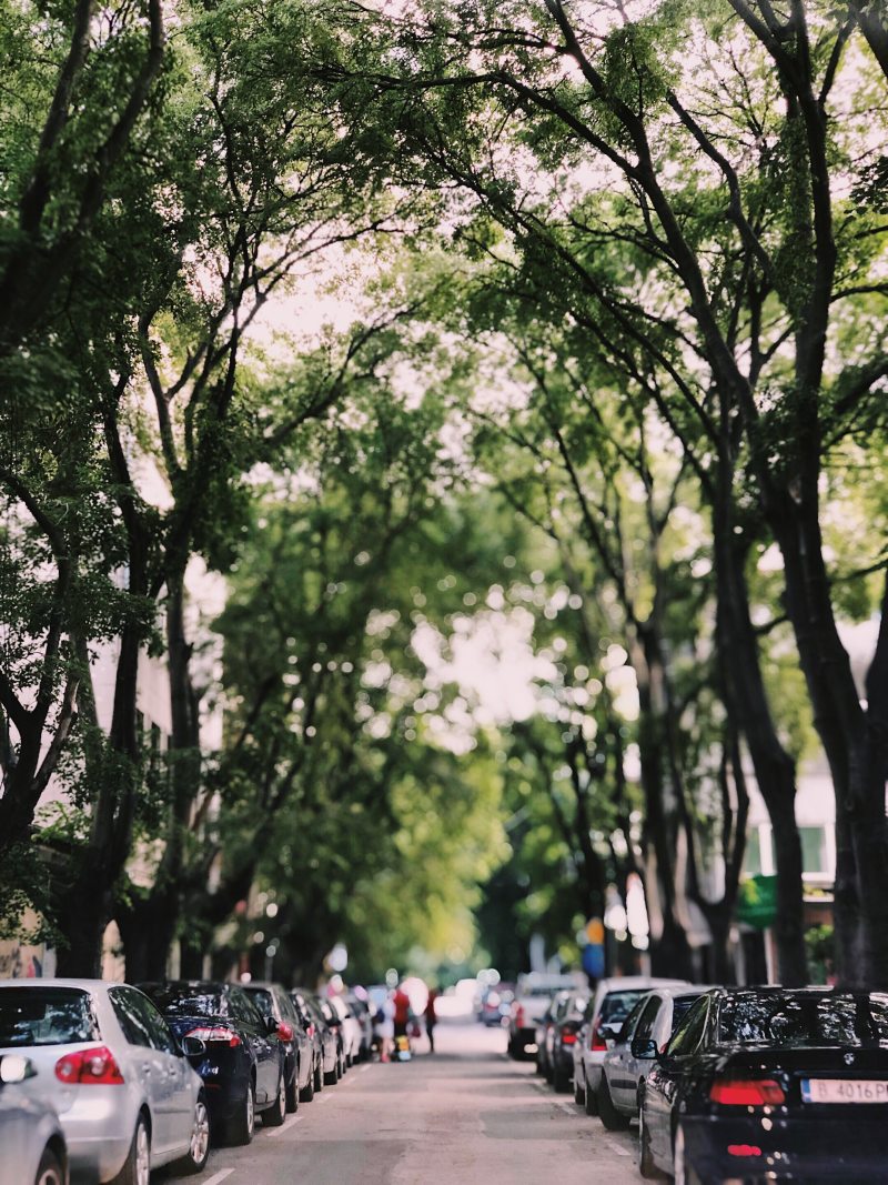 停在路边的汽车|交通系统,停车,树木,汽车,街道,车辆,道路-海量高质量免版权图片素材-设计师素材-摄影图片-mitapix-美塔图像