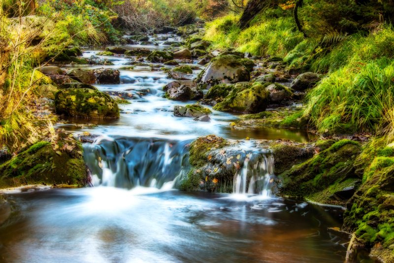 被草包围的水体Body of Water Surrounded by Grasses|cascade,creek,environment,Flow,flowing,landscape,Leaves,motion,nature,outdoors,rapids,River,rocks,stones,stream,Trees,waterfall,叶子,小河,小溪,岩石,急流,户外,树,河,流动,瀑布,环境,石头,自然,运动,风景-海量高质量免版权图片素材-设计师素材-摄影图片-mitapix-美塔图像