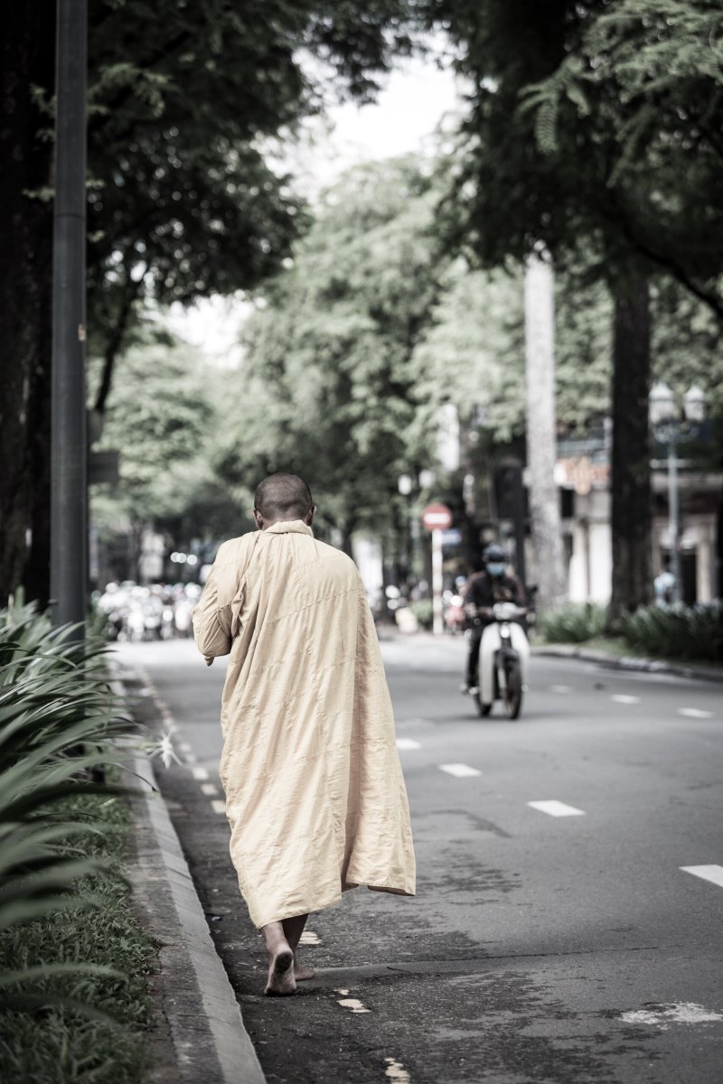 一个和尚走在蕨类植物旁的路上|交通系统,人,人行道,僧侣,城市,宗教,户外,摩托车,树木,步行,白天,穿着,街道,道路-海量高质量免版权图片素材-设计师素材-摄影图片-mitapix-美塔图像