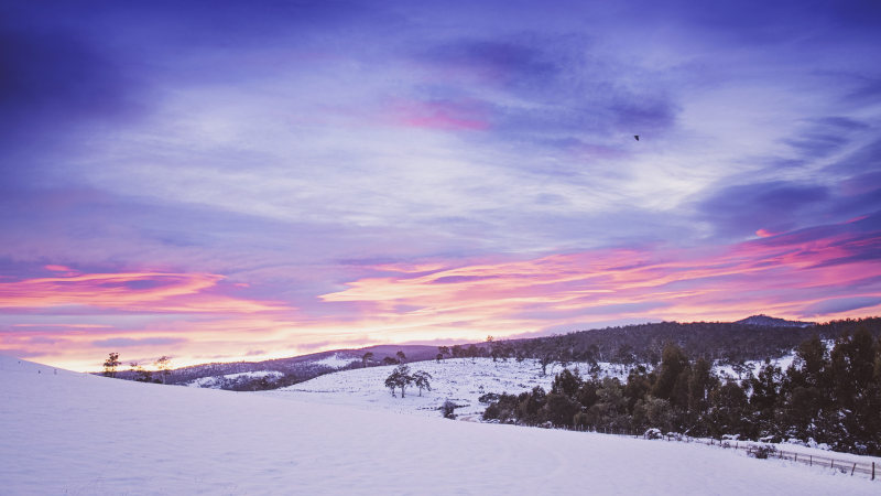 橙色日落和雪场Orange Sunset and Snow Field|Clouds,cold,Dawn,dusk,forest,freezing,frost,frosty,frozen,ice,icy,idyllic,nature,scenic,Sky,snow,snowy,tranquil,Trees,winter,woods,云,冬天,冰,冰冷,冰冻,冷,冷冻,冷淡,天空,宁静,树木,树林,森林,田园,自然,雪,霜冻,风景,黄昏,黎明-海量高质量免版权图片素材-设计师素材-摄影图片-mitapix-美塔图像