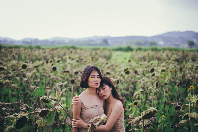 两个女人在向日葵地里拥抱|乡村,人,农田,发型,向日葵田,女人,女孩,姐妹,年轻人,户外,日光,时尚,服饰,漂亮的,田野,白天,花,草,面部表情,风景-海量高质量免版权图片素材-设计师素材-摄影图片-mitapix-美塔图像