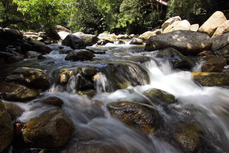 身体的水Body of Water|creek,environment,Flow,forest,landscape,moss,motion,nature,outdoors,rapids,rocks,scenic,stones,stream,time-lapse,Trees,Water,wet,woods,小溪,急流,怪石,户外,时间推移,景观,树木,树林,森林,水,流,湿,环境,石头,自然,运动,青苔,风景-海量高质量免版权图片素材-设计师素材-摄影图片-mitapix-美塔图像