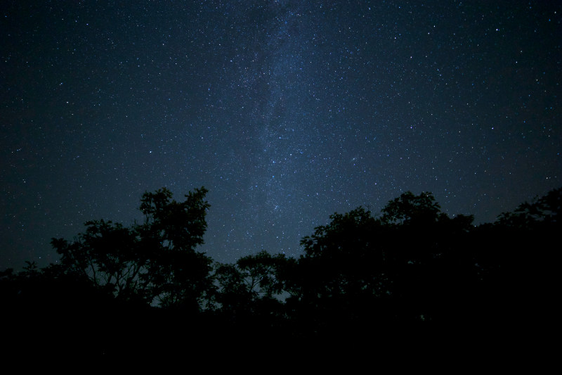 黑暗森林银河系|夜晚,星星,树木,森林,自然,银河,黑暗-海量高质量免版权图片素材-设计师素材-摄影图片-mitapix-美塔图像