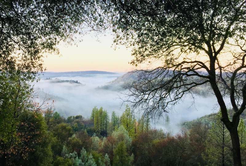 山上覆盖着雾的照片Photo of Mountain Covered With Mist|俯拍,在户外,多雾的,山,旅行,日光,景观,树,森林,环境,秋天,自然,视图,雾,风景优美的,黎明-海量高质量免版权图片素材-设计师素材-摄影图片-mitapix-美塔图像