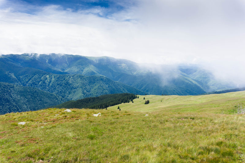 绿草地|山,户外,白天,自然,草,雾,风景-海量高质量免版权图片素材-设计师素材-摄影图片-mitapix-美塔图像