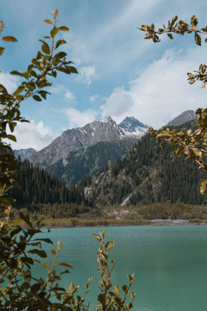 山傍树傍水|冰,山,户外,日光,景色,树,树林,森林,水,河流,湖,自然,雪,风景-海量高质量免版权图片素材-设计师素材-摄影图片-mitapix-美塔图像