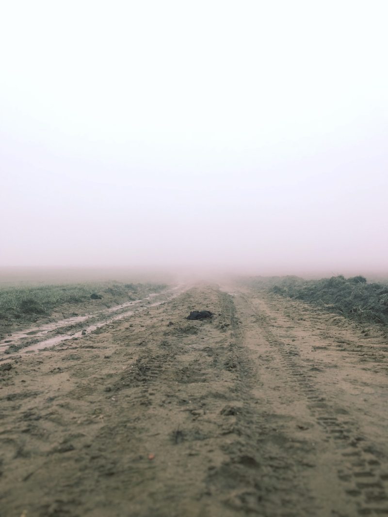 雾气弥漫的道路|免版税图像,土路,地,泥,路,雾-海量高质量免版权图片素材-设计师素材-摄影图片-mitapix-美塔图像