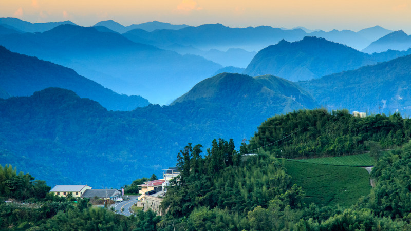 蓝山附近的树木插图|小山,山脉,户外,树木,雾,风景-海量高质量免版权图片素材-设计师素材-摄影图片-mitapix-美塔图像