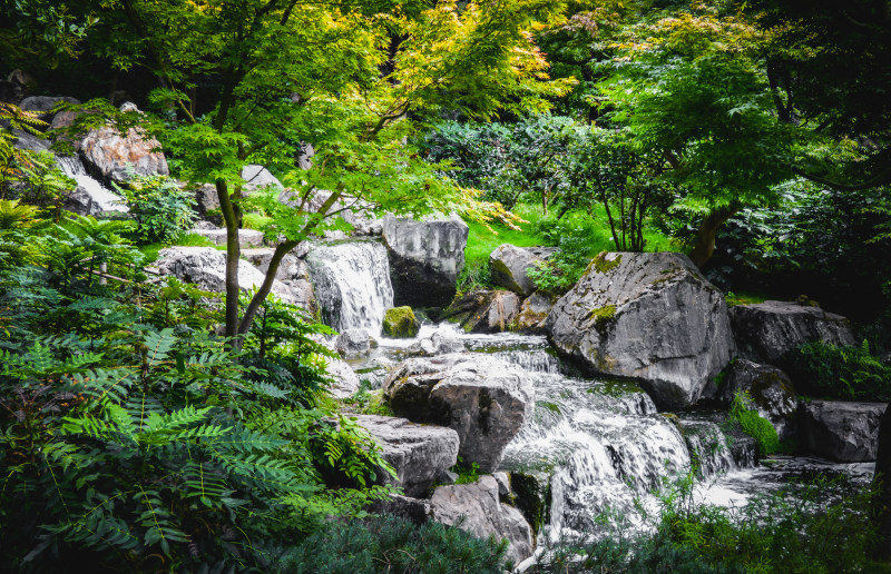 流动的水在河|分支机构,岩石,急流,性质,景区,景观,树木,森林,水,流,淡水,瀑布,环境,白天,石头,级联,绿色,自然摄影,苔藓,长时间曝光,长满苔藓的岩石-海量高质量免版权图片素材-设计师素材-摄影图片-mitapix-美塔图像