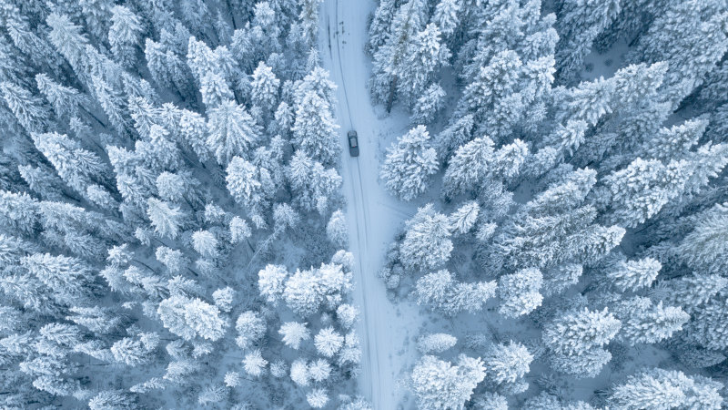 似雪、下雪的、 冬季、 冷|下雪的,下雪的天气,似雪,冬季,冷,冷冰冰,冷冰的,冻结的,天气,季节,寒冷的天气,户外,有雪的,树木,森林,水晶,空拍图,调味,雪,雪花,霜,高角度拍摄-海量高质量免版权图片素材-设计师素材-摄影图片-mitapix-美塔图像