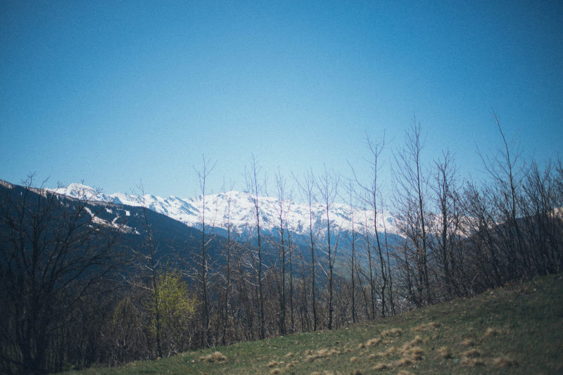 冬季、 天空、 山、山脉、山峰|冬季,天性,天空,山,山峰,山脉,性质,户外,日光,景观,树木,树林,森林,环境,美景,自然,草,阳光,雪,风景-海量高质量免版权图片素材-设计师素材-摄影图片-mitapix-美塔图像