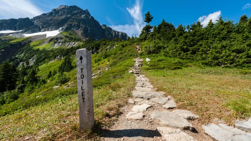 绿树|云,冒险,厕所,夏天,山,岩石,徒步,性质,户外,指导,方向,旅游,景观,树木,步道,水,环境,白天,绿色,草,谷,远足,通道,道路,雪,风景-海量高质量免版权图片素材-设计师素材-摄影图片-mitapix-美塔图像