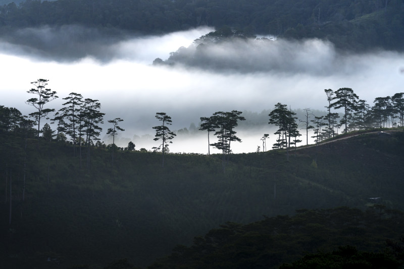 山风景看法在多云天空下的|4 k壁纸,和平,外,天空,宁静,山,性质,户外,景区,有薄雾,有雾,朦胧,树,环境,田园,自然摄影,薄雾,阴霾,雾,风景,高清壁纸,黄昏,黎明-海量高质量免版权图片素材-设计师素材-摄影图片-mitapix-美塔图像