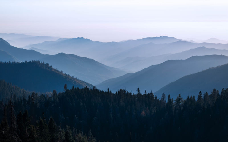 松树山景|冒险,冷,壁纸,夏时制,山,山脉,徒步旅行,性质,户外,旅行,景区,景观,有雾,树木,森林,环境,薄雾,谷,针叶树,长荣,阴霾,雾,黎明-海量高质量免版权图片素材-设计师素材-摄影图片-mitapix-美塔图像