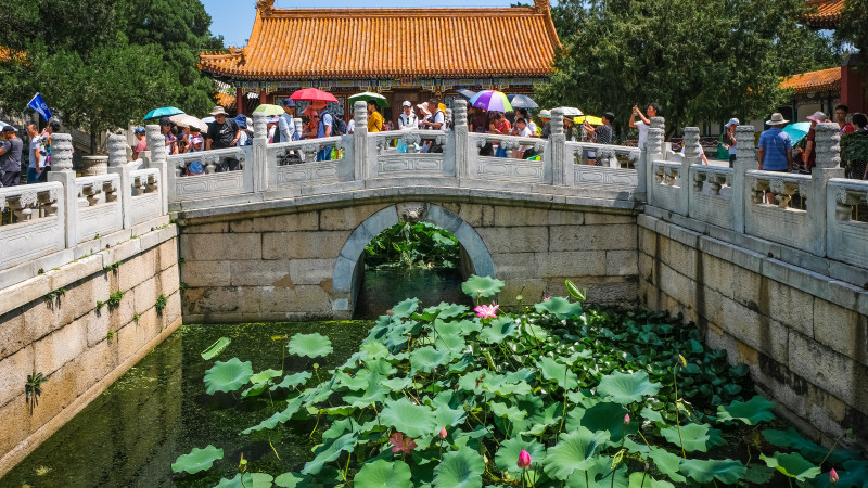 人们照片在池塘附近的有荷花的|中国,中国建筑,中文,人民,体系结构,公园,具有里程碑意义,北京,叶子,城市,增长,夏时制,性质,户外,旅游,旅游景点,旅游目的地,旅游胜地,旅行,桥,植物,植物区系,水生植物,池塘,河,游客,着名,睡莲,莲花,观光,视图,鲜花-海量高质量免版权图片素材-设计师素材-摄影图片-mitapix-美塔图像