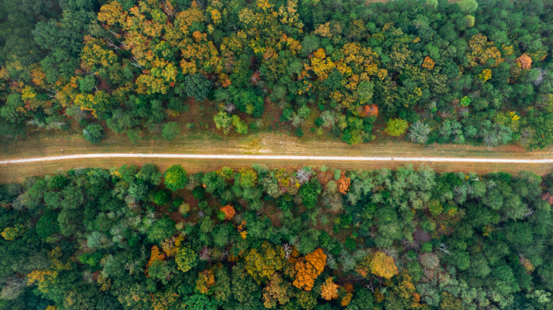 绿树之间的道路高角度摄影|光明,公园,农村,增长,性质,性质摄影,成长,户外,新鲜,日光,景区,景观,树木,梅花,森林,深绿色,环境,现场,白天,盛开,空中摄影,绿色,绿色的树叶,罗阿斯,自然,视线,颜色,风景,鸟瞰图-海量高质量免版权图片素材-设计师素材-摄影图片-mitapix-美塔图像