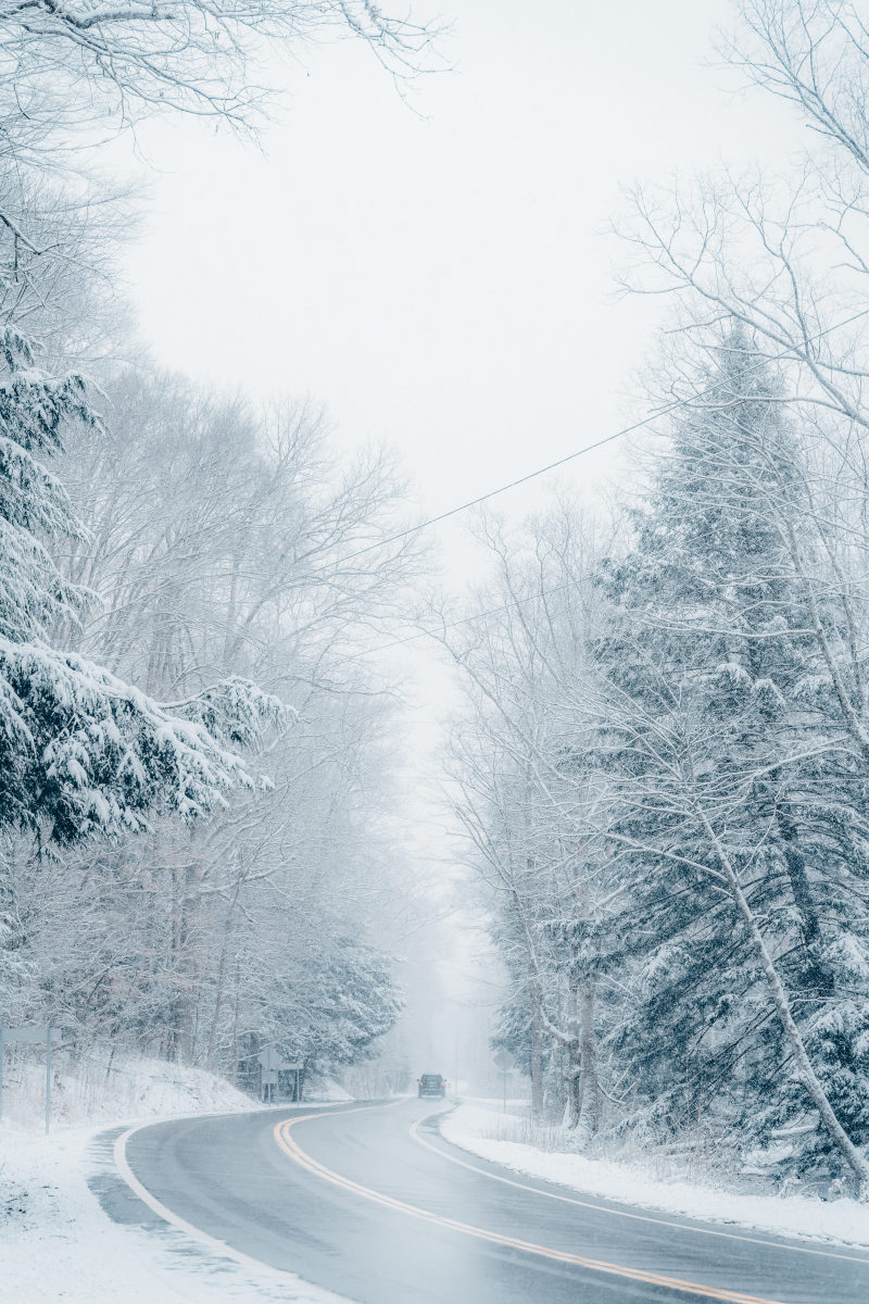 有关ICEE, 下雪的, 下雪的天气|icee,下雪的,下雪的天气,似雪,冬季,冬季景观,冰,冷,冷冰冰,冷冰的,冷冻,冻,冻结的,天性,天气,天空,季节,寒冷,寒冷的天气,很冷,性质,户外,日光,景观,有雪的,有雾,树木,树林,树枝,森林,环境,白天,美景,自然,调味,路,车辆,车道,道路,阳光,雪,雾,霜,风景,马路-海量高质量免版权图片素材-设计师素材-摄影图片-mitapix-美塔图像