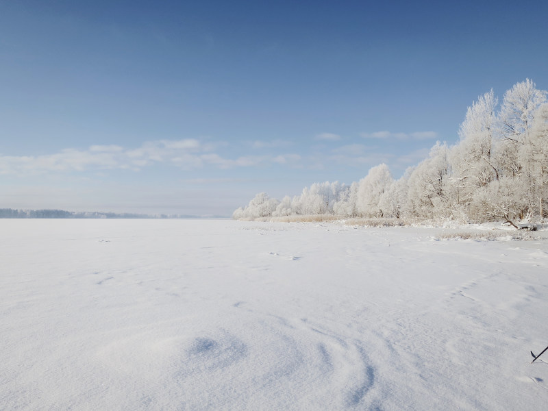 下雪的, 不变, 似雪|下雪的,不变,似雪,冒險,冬季,冷,冷靜,和平的,和諧,和谐,多雲的,天性,天氣,季節,寒冷,寧靜,寧靜的,山谷,工厂,平靜的,廠,性質,戶外,探索,新鲜空气,无声,景觀,晴天,晴朗,林地,森林,沒有人,環境,田,發現,白天,白色,美女,美景,自然,自由,草地,草坪,藍天,視圖,調味,農地,農村,運動場地,鄉村,野外,野生,霜,風景,風景如畫,風積雪,驚人,鬱鬱蔥蔥-海量高质量免版权图片素材-设计师素材-摄影图片-mitapix-美塔图像