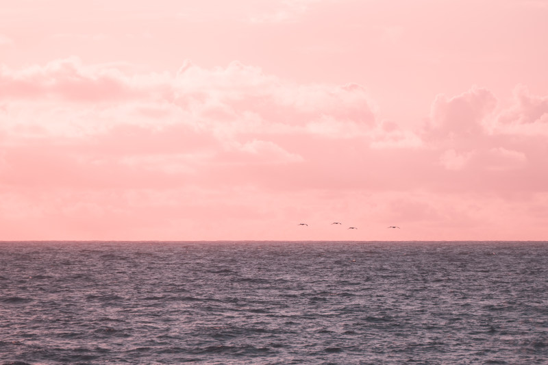 地平線, 夕阳的颜色, 日落|地平線,夕阳的颜色,日落,日落的颜色,海,海洋,海滩日落,粉紅色,美丽的夕阳,藍天,藍色,金色的夕陽,飞翔的鸟儿-海量高质量免版权图片素材-设计师素材-摄影图片-mitapix-美塔图像