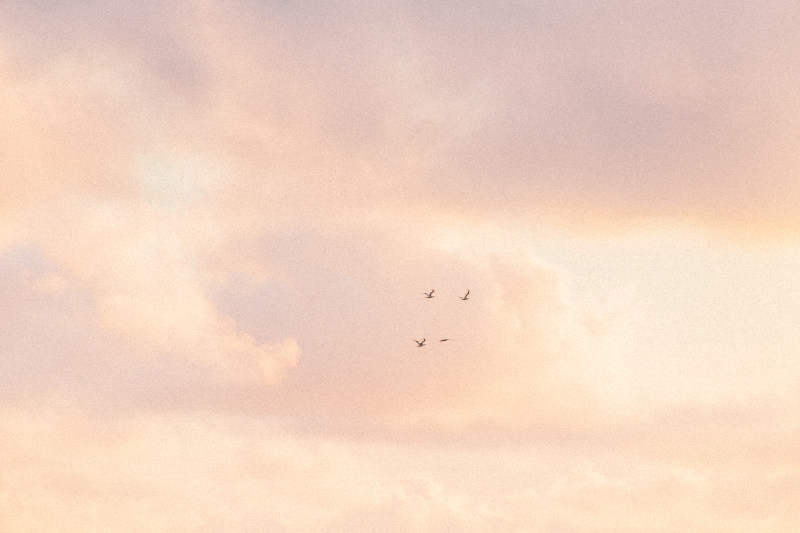 夕阳的颜色, 日落, 日落的颜色|夕阳的颜色,日落,日落的颜色,海滩日落,粉紅色,美丽的夕阳,藍天,藍色,金色的夕陽,飞翔的鸟儿,鳥類-海量高质量免版权图片素材-设计师素材-摄影图片-mitapix-美塔图像