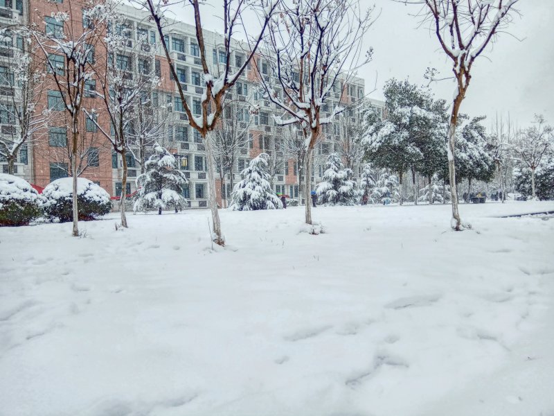 有关下雪的, 下雪的天气, 似雪|下雪的,下雪的天气,似雪,农村,冬季,冰,冷,冷冰的,冷冻,冻,冻结的,天性,天气,季节,寒冷,寒冷的天气,建造,很冷,性质,户外,日光,景观,有雪的,树木,白雪皑皑,美景,自然,调味,路,道路,阳光,雪,雾,霜,风景,马路-海量高质量免版权图片素材-设计师素材-摄影图片-mitapix-美塔图像