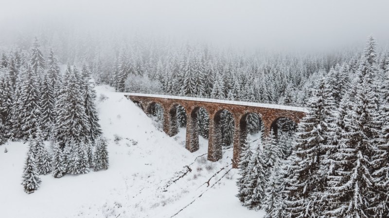 桥梁,雪,森林,高架桥,冬天,壁纸/手机壁纸|冬天,桥梁,森林,雪,高架桥-海量免费高质量壁纸|墙纸|手机壁纸|电脑壁纸|wallpaper|动漫|卡通|二次元|真人|风景壁纸库-美塔壁纸