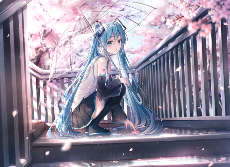 当然,蓝色的头发,蓝色的眼睛,蹲,vocaloid,hatsune miku,动漫女孩,艺术品,樱花,伞,三尾,壁纸/手机壁纸|Hatsune Miku,Vocaloid,三尾,伞,动漫女孩,当然,樱花,艺术品,蓝色的头发,蓝色的眼睛,蹲-海量免费高质量壁纸|墙纸|手机壁纸|电脑壁纸|wallpaper|动漫|卡通|二次元|真人|风景壁纸库-美塔壁纸