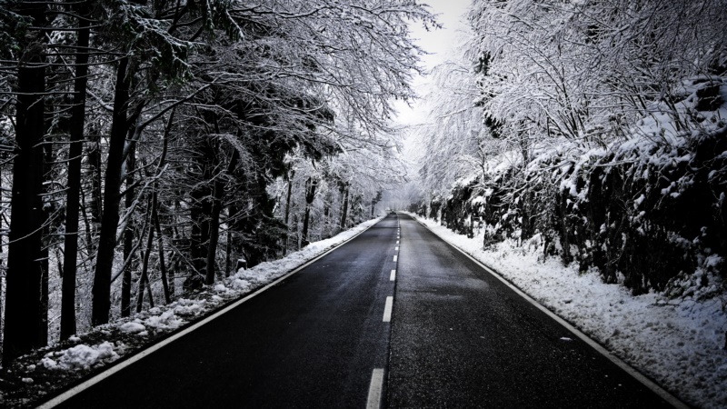 道路,冬天,雪,黑色,白色,树木,壁纸/手机壁纸|冬天,树木,白色,道路,雪,黑色-海量免费高质量壁纸|墙纸|手机壁纸|电脑壁纸|wallpaper|动漫|卡通|二次元|真人|风景壁纸库-美塔壁纸