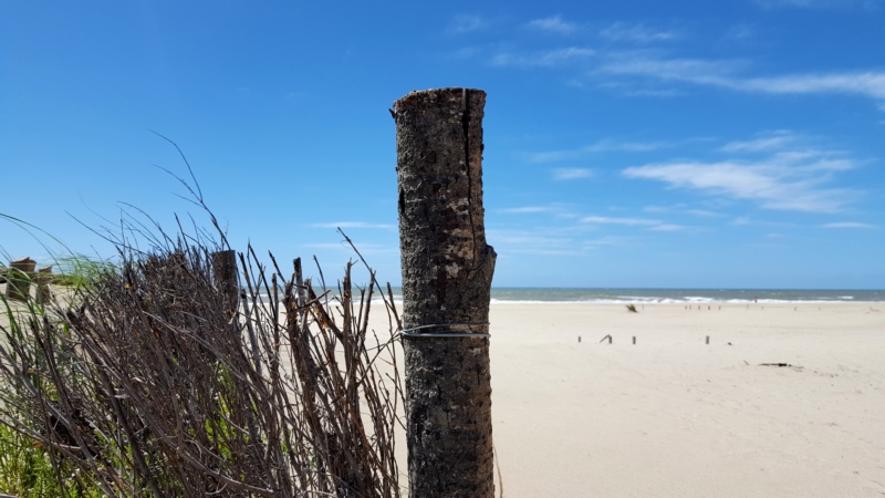 海滩,别墅Gesell,壁纸/手机壁纸|别墅Gesell,海滩-海量免费高质量壁纸|墙纸|手机壁纸|电脑壁纸|wallpaper|动漫|卡通|二次元|真人|风景壁纸库-美塔壁纸