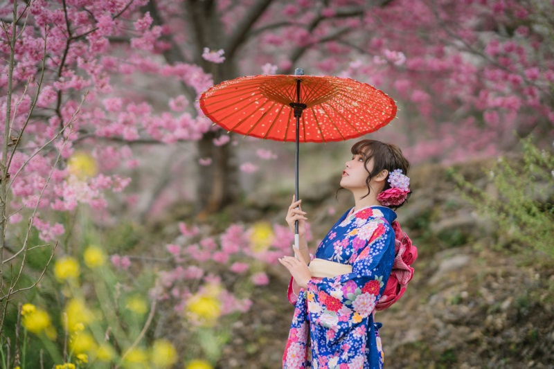 亚洲,模型,妇女,长发,黑发,妇女户外,抬头,樱花,传统服装,日本和服,头发装饰,景深,树木,日本伞,头发,植物,壁纸/手机壁纸|亚洲,传统服装,头发,头发装饰,妇女,妇女户外,抬头,日本伞,日本和服,景深,树木,植物,模型,樱花,长发,黑发-海量免费高质量壁纸|墙纸|手机壁纸|电脑壁纸|wallpaper|动漫|卡通|二次元|真人|风景壁纸库-美塔壁纸