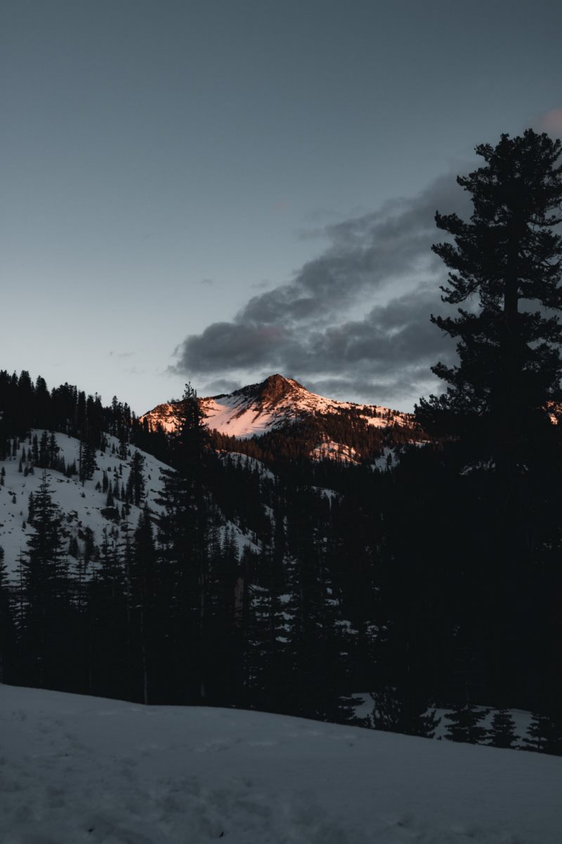 自然,景观,山,松树,云,垂直,肖像显示,雪山,雪,冬天,壁纸/手机壁纸|云,冬天,垂直,山,景观,松树,肖像显示,自然,雪,雪山-海量免费高质量壁纸|墙纸|手机壁纸|电脑壁纸|wallpaper|动漫|卡通|二次元|真人|风景壁纸库-美塔壁纸