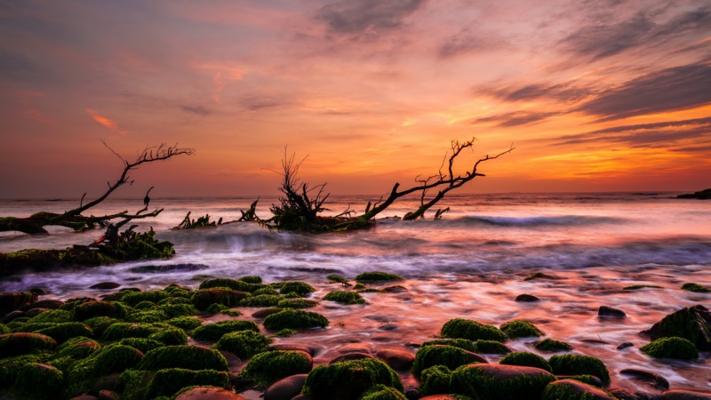 自然,海,海岸,户外,天空,阳光,石头,壁纸/手机壁纸|天空,户外,海,海岸,石头,自然,阳光-海量免费高质量壁纸|墙纸|手机壁纸|电脑壁纸|wallpaper|动漫|卡通|二次元|真人|风景壁纸库-美塔壁纸