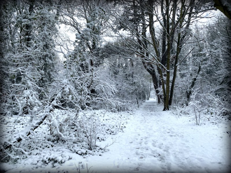 自然,雪,冬天,寒冷,户外,壁纸/手机壁纸|冬天,寒冷,户外,自然,雪-海量免费高质量壁纸|墙纸|手机壁纸|电脑壁纸|wallpaper|动漫|卡通|二次元|真人|风景壁纸库-美塔壁纸