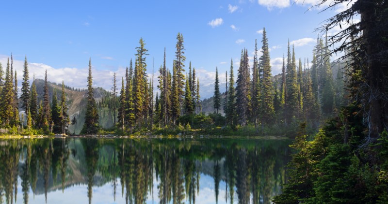 山口,水,森林,景观,艺术,壁纸/手机壁纸|山口,景观,森林,水,艺术-海量免费高质量壁纸|墙纸|手机壁纸|电脑壁纸|wallpaper|动漫|卡通|二次元|真人|风景壁纸库-美塔壁纸