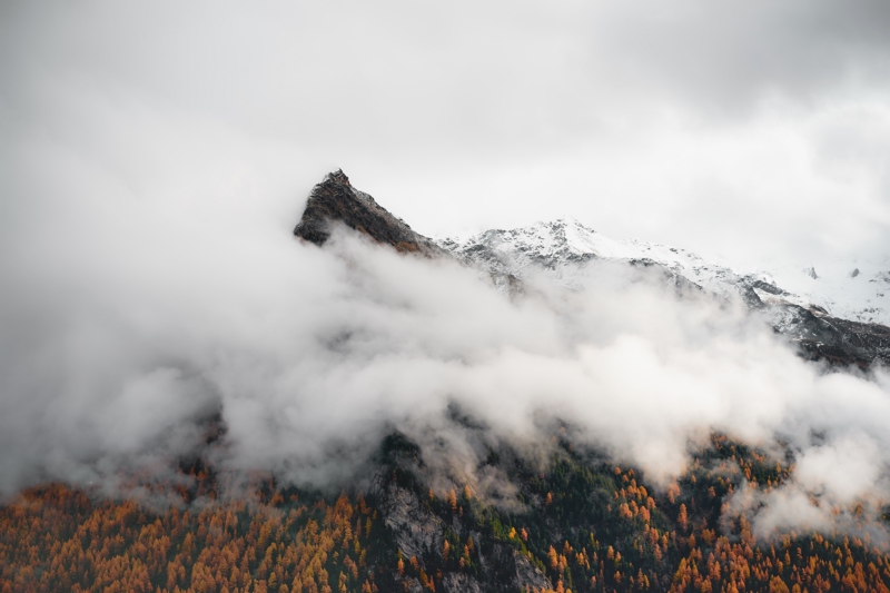 景观,森林,山,云,雾,自然,壁纸/手机壁纸|云,山,景观,森林,自然,雾-海量免费高质量壁纸|墙纸|手机壁纸|电脑壁纸|wallpaper|动漫|卡通|二次元|真人|风景壁纸库-美塔壁纸