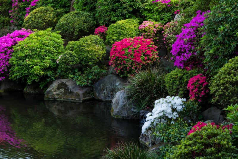 日本,花园,植物,石头,鲜花,壁纸/手机壁纸|日本,植物,石头,花园,鲜花-海量免费高质量壁纸|墙纸|手机壁纸|电脑壁纸|wallpaper|动漫|卡通|二次元|真人|风景壁纸库-美塔壁纸