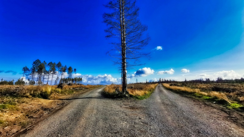 道路,土路,树木,户外,天空,景观,壁纸/手机壁纸|土路,天空,户外,景观,树木,道路-海量免费高质量壁纸|墙纸|手机壁纸|电脑壁纸|wallpaper|动漫|卡通|二次元|真人|风景壁纸库-美塔壁纸