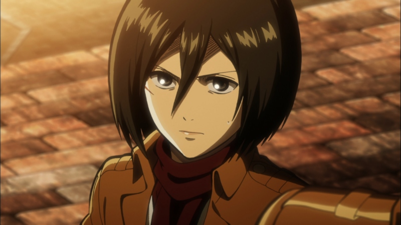 动漫,动漫女孩,动漫截图,Shingeki no Kyojin,Mikasa Ackerman,壁纸/手机壁纸|Mikasa Ackerman,shingeki no kyojin,动漫,动漫女孩,动漫截图-海量免费高质量壁纸|墙纸|手机壁纸|电脑壁纸|wallpaper|动漫|卡通|二次元|真人|风景壁纸库-美塔壁纸