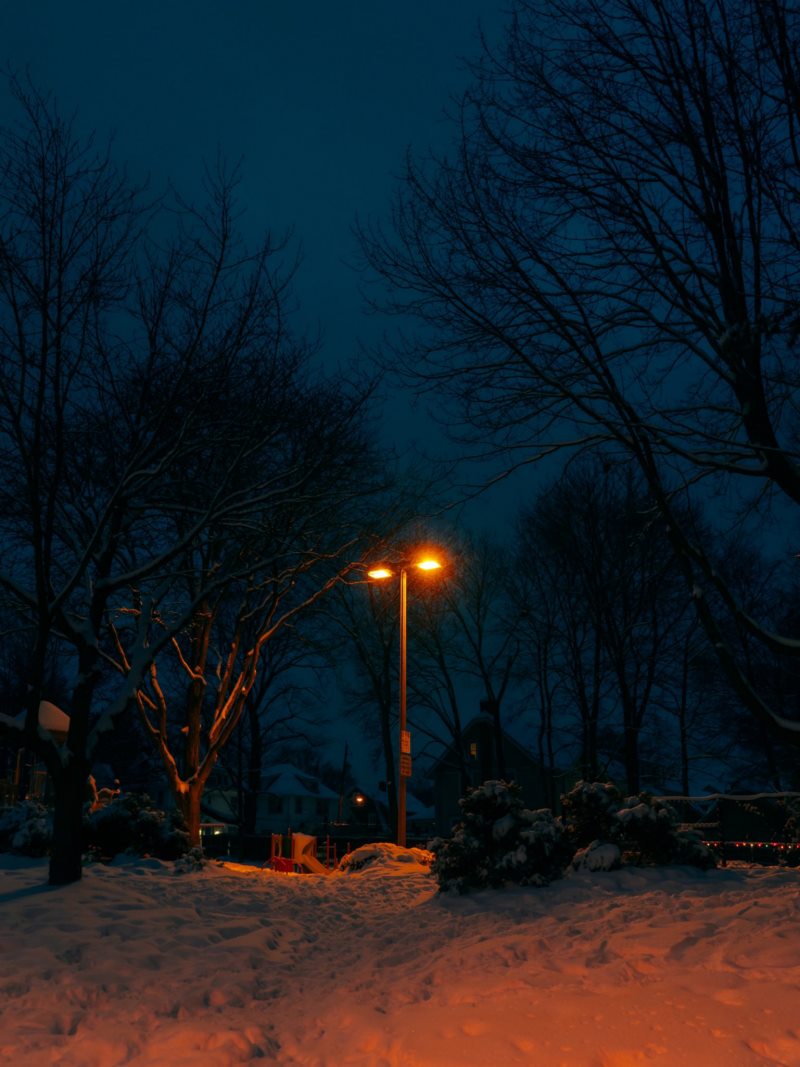 森林,冬天,灯,街灯,树木,垂直,雪,壁纸/手机壁纸|冬天,垂直,树木,森林,灯,街灯,雪-海量免费高质量壁纸|墙纸|手机壁纸|电脑壁纸|wallpaper|动漫|卡通|二次元|真人|风景壁纸库-美塔壁纸