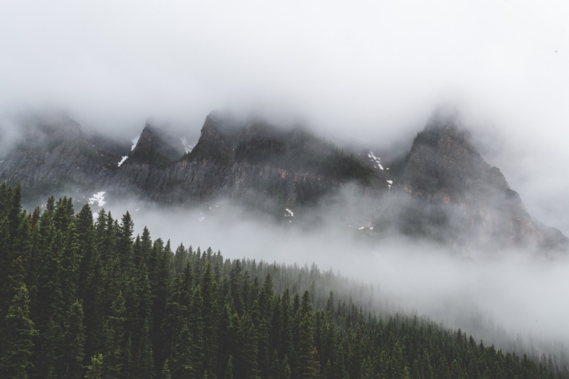 景观,森林,山,雪,云,雾,自然,壁纸/手机壁纸|云,山,景观,森林,自然,雪,雾-海量免费高质量壁纸|墙纸|手机壁纸|电脑壁纸|wallpaper|动漫|卡通|二次元|真人|风景壁纸库-美塔壁纸